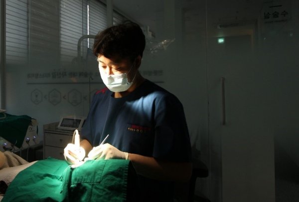 치아 상실 방치하면 잇몸뼈 감소…임플란트 치료 복잡해질 수 있어