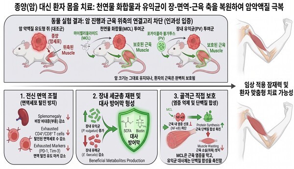 장내 미생물로 암 환자 근육 지킨다…KIST, 암 악액질 개선 기전 규명