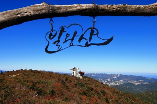 해발 1458m 발왕산, 이번 주말 붉게 물든다…관광케이블카·스카이워크 눈길